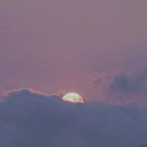 Gay骚年老头粗又长
