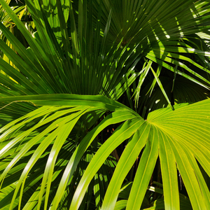 Gay骚年老头粗又长
